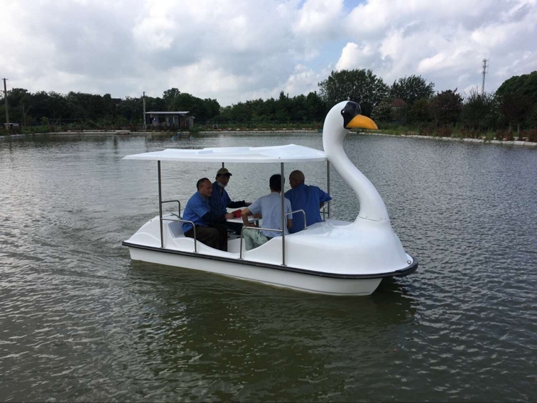 4人天鵝電動船